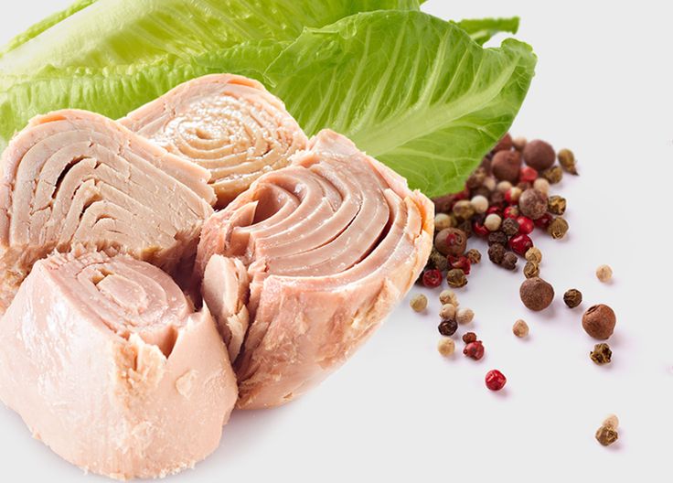 Strategic Bulk Canned Tuna Supply for Government Food Stockpiles; Tamila Agrifood